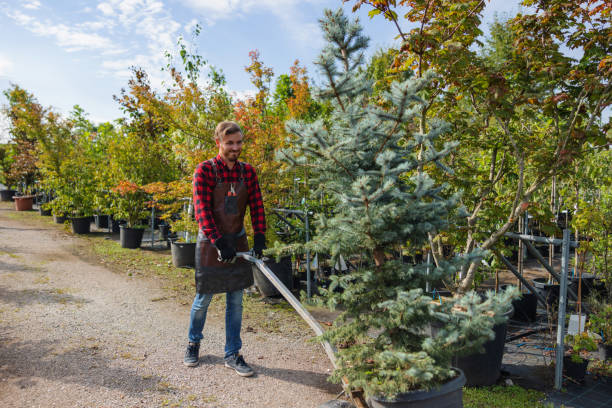 Best Seasonal Cleanup (Spring/Fall)  in Buena, NJ